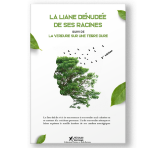 Couverture du livre La Liane dénudée de ses racines par Salec Halidi Abderemane, qui explore les thèmes de l'identité, des croyances et de la vie dans l'archipel des Comores.