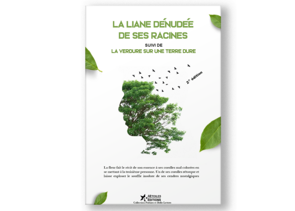 Couverture du livre La Liane dénudée de ses racines par Salec Halidi Abderemane, qui explore les thèmes de l'identité, des croyances et de la vie dans l'archipel des Comores.